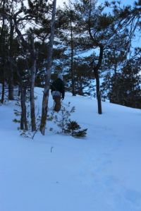 cutting trail up the ledges