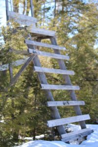 deer stand