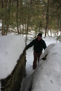 examining the erratic