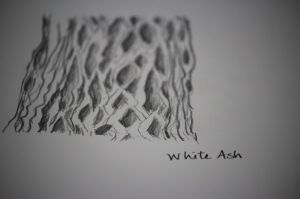white ash sketch