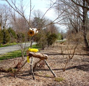 critter on bike path