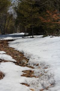 following snowshoe trail