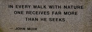 John Muir quote