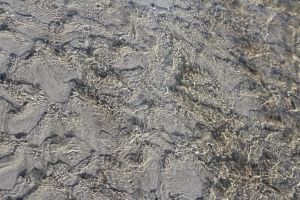 water and sand design