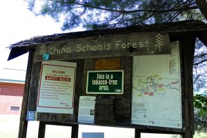 China Schools Forest