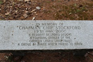 chip stockford