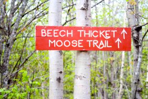 Moose Trail sign