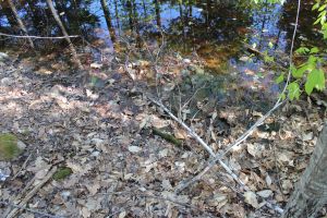 VP, May 14, drying up