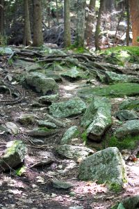 challenges along the path