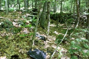 Foundation and stuff