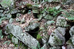 me mystery structure and mystery legs