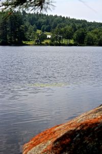 view from otter rocks