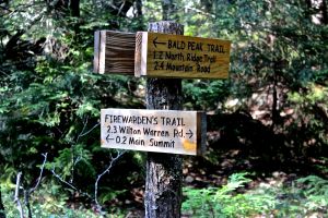 Firewarden's Trail