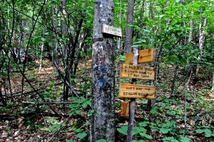 trail signs