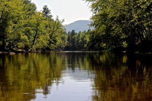 Burnt Meadow Mtn in background