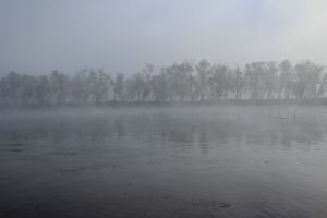 morning fog 2