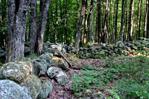 when life gives you stones, make stonewalls