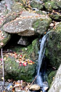 Bald Peak trail stream