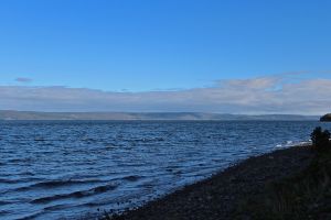 Bras D'or2