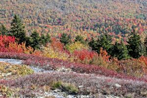 color quest tapestry