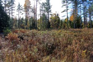 log landing 10+ years ago