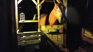 museum mine critters