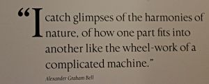 museums, Bell quote