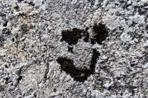 selfie 1 smiley face