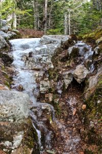 ice on Speckled Trail
