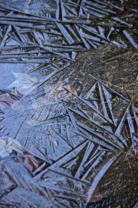 ice puddle abstract art
