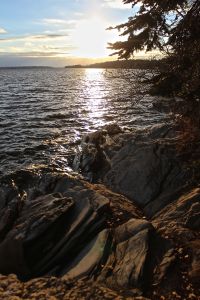 late afternoon light