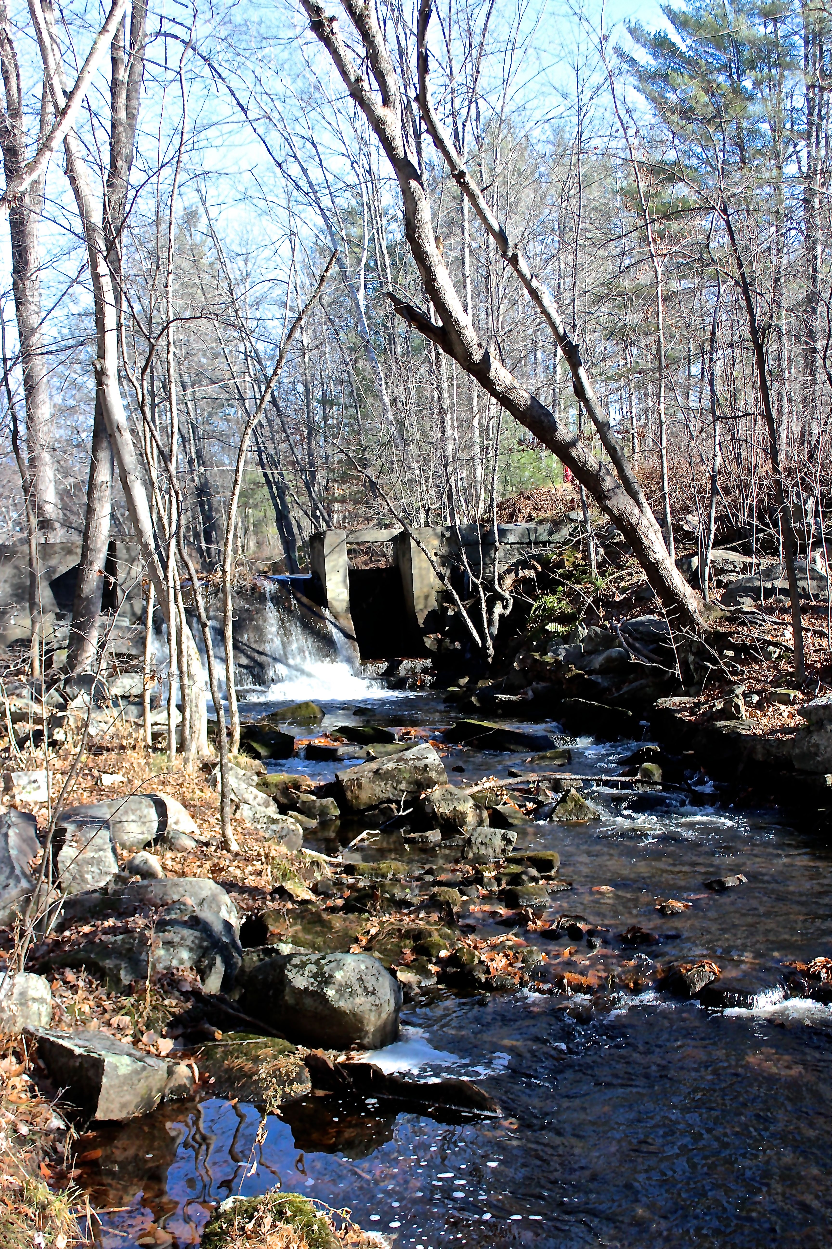 Mill Stream