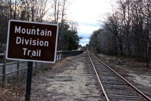 MTD tracks and trail