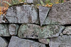 Notch fdn feather:wedge