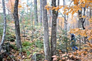 Notch mound of stones