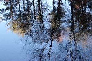 Pondicherry Reflection