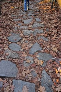 stone pathway