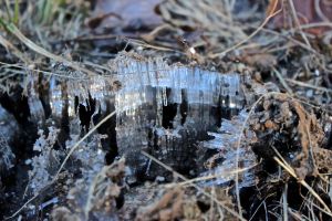 ice needles