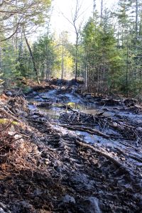 muddy logging road