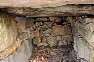 root cellar