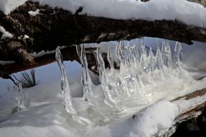 ice twists 2