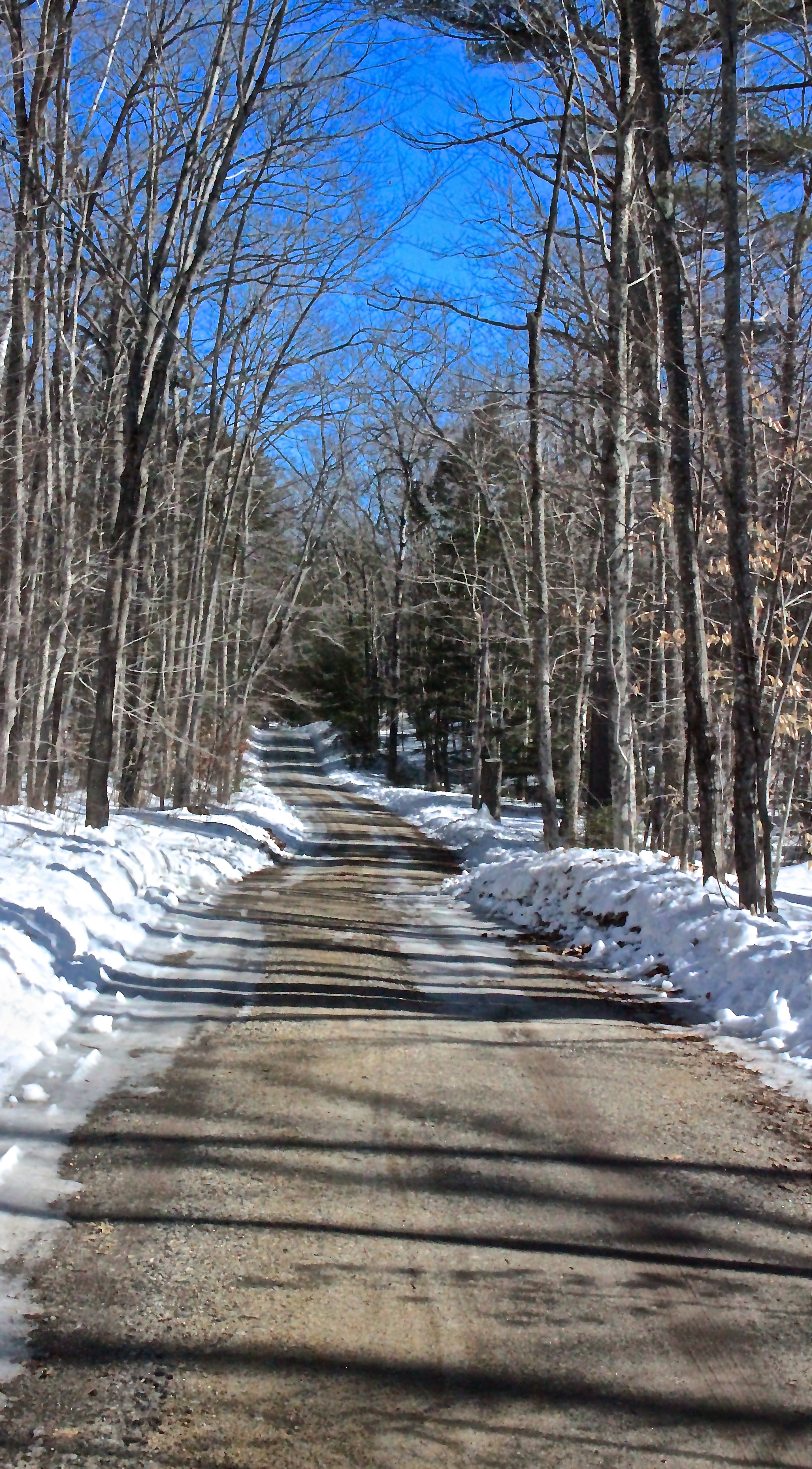 m-5 kezar ponds road