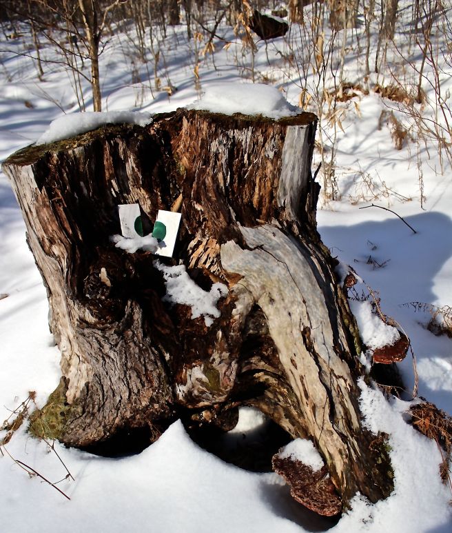 SB-hemlock stump et al