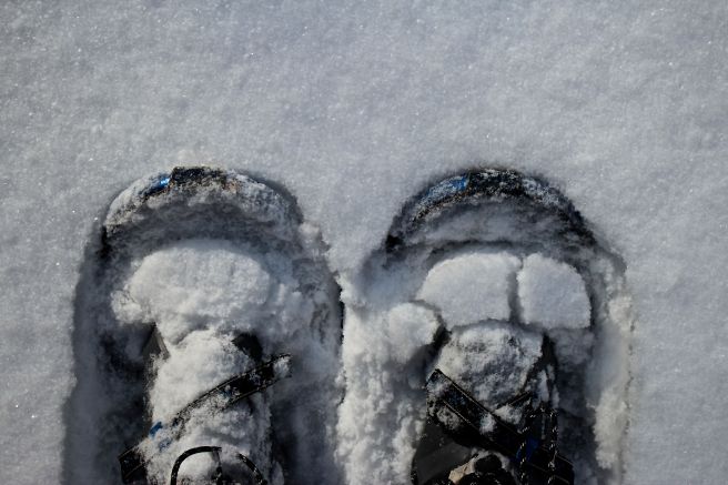 W-snowshoes