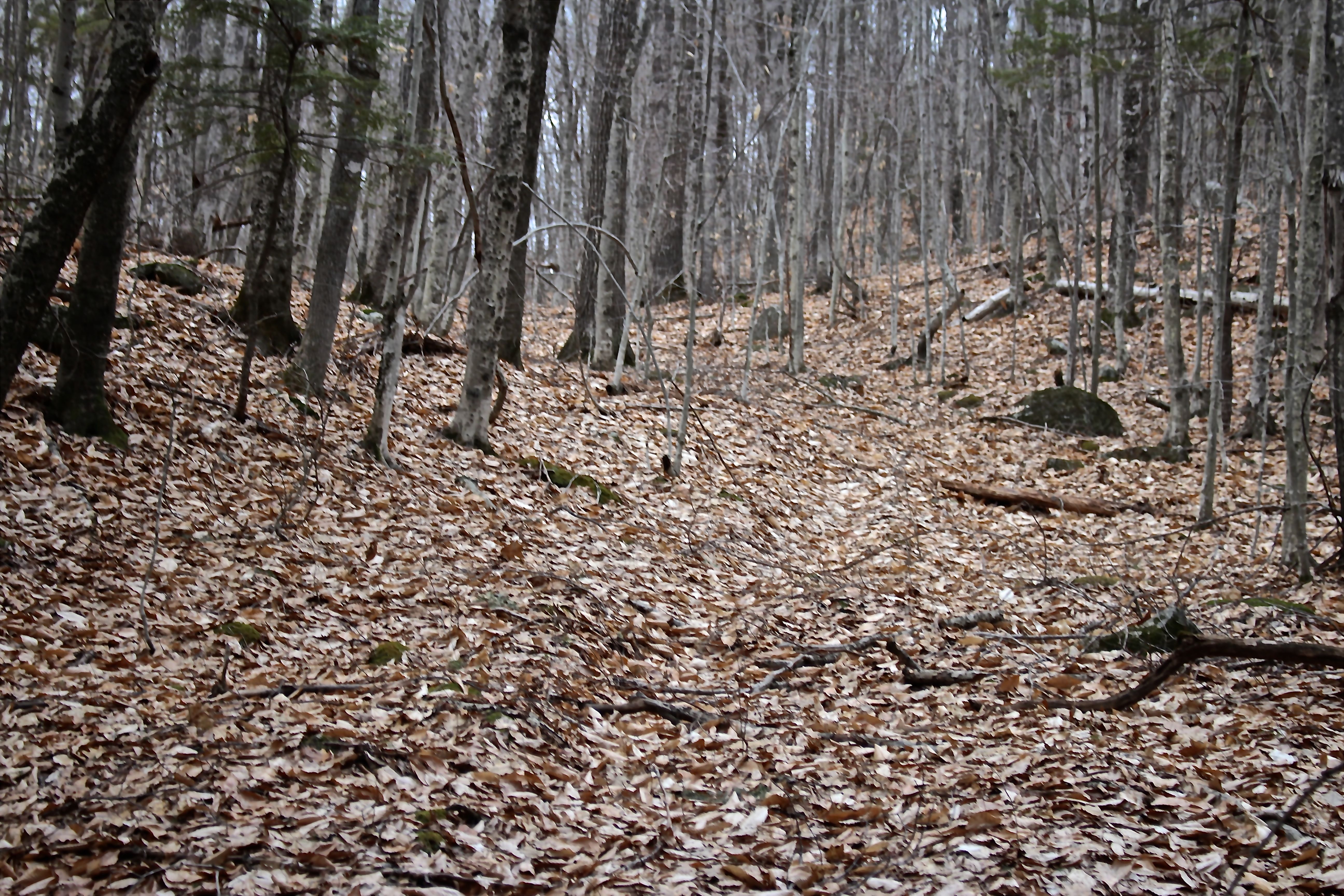 b-dip between eskers?