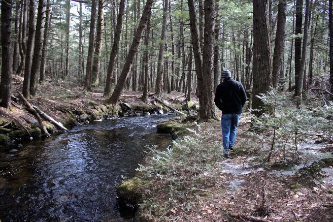 b-game trail beside brook