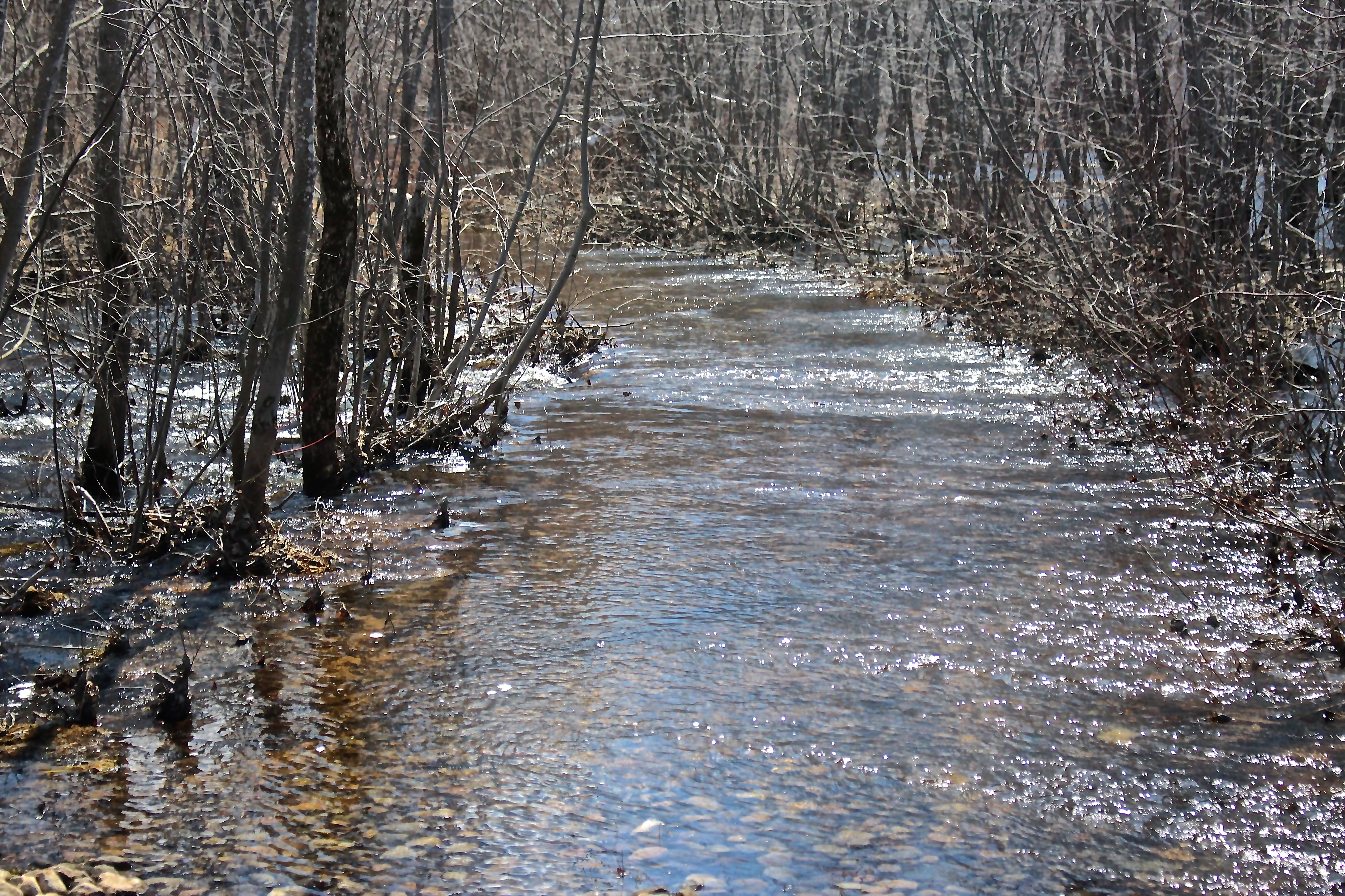 b-river road literally