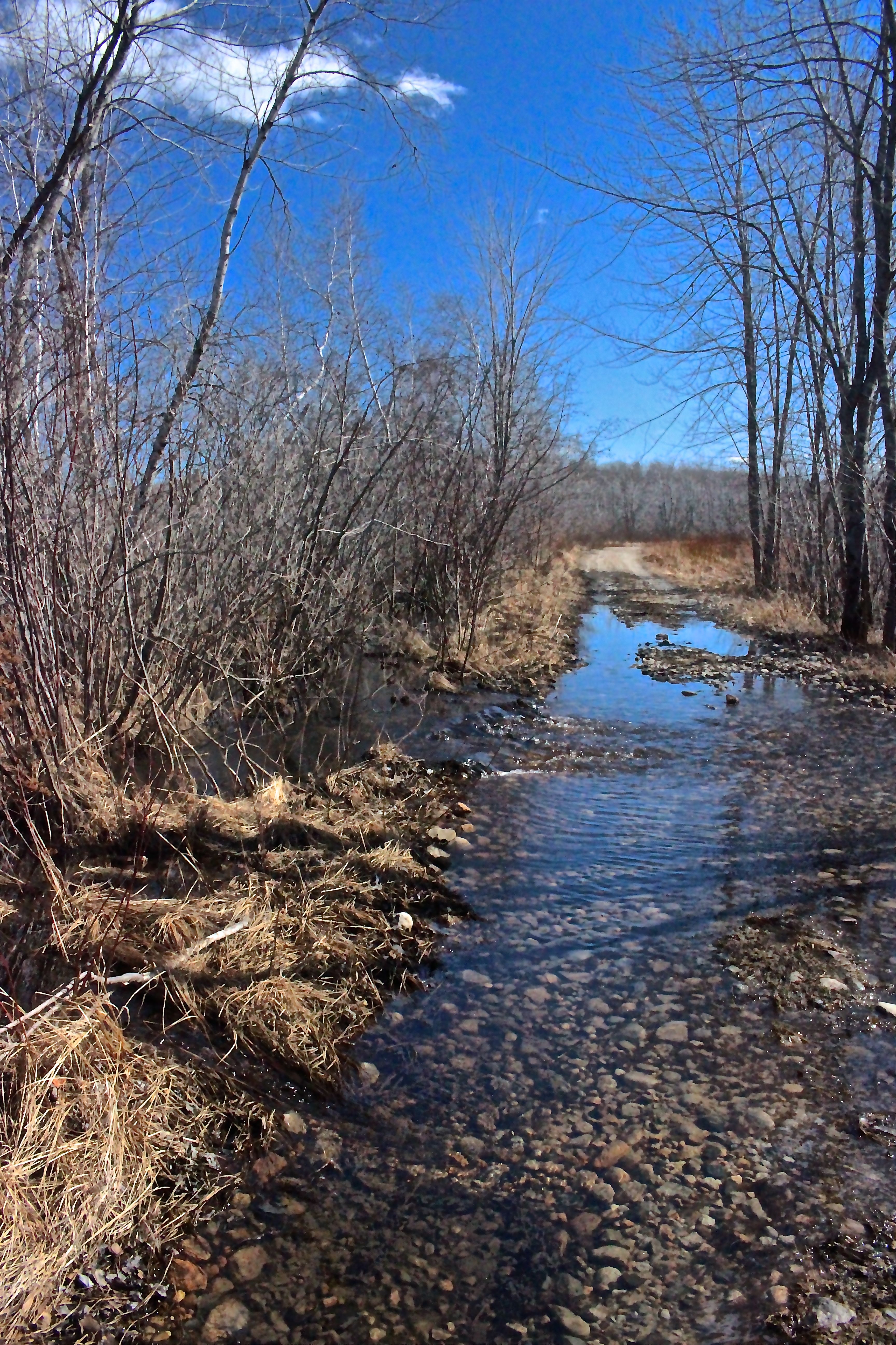 b-water over road on way back