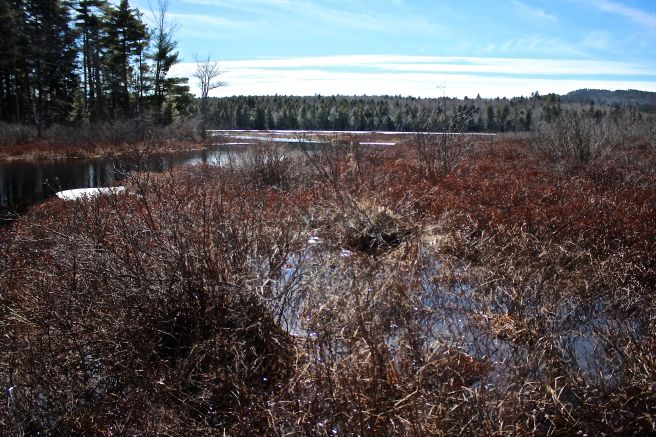 h8-muddy river to pond