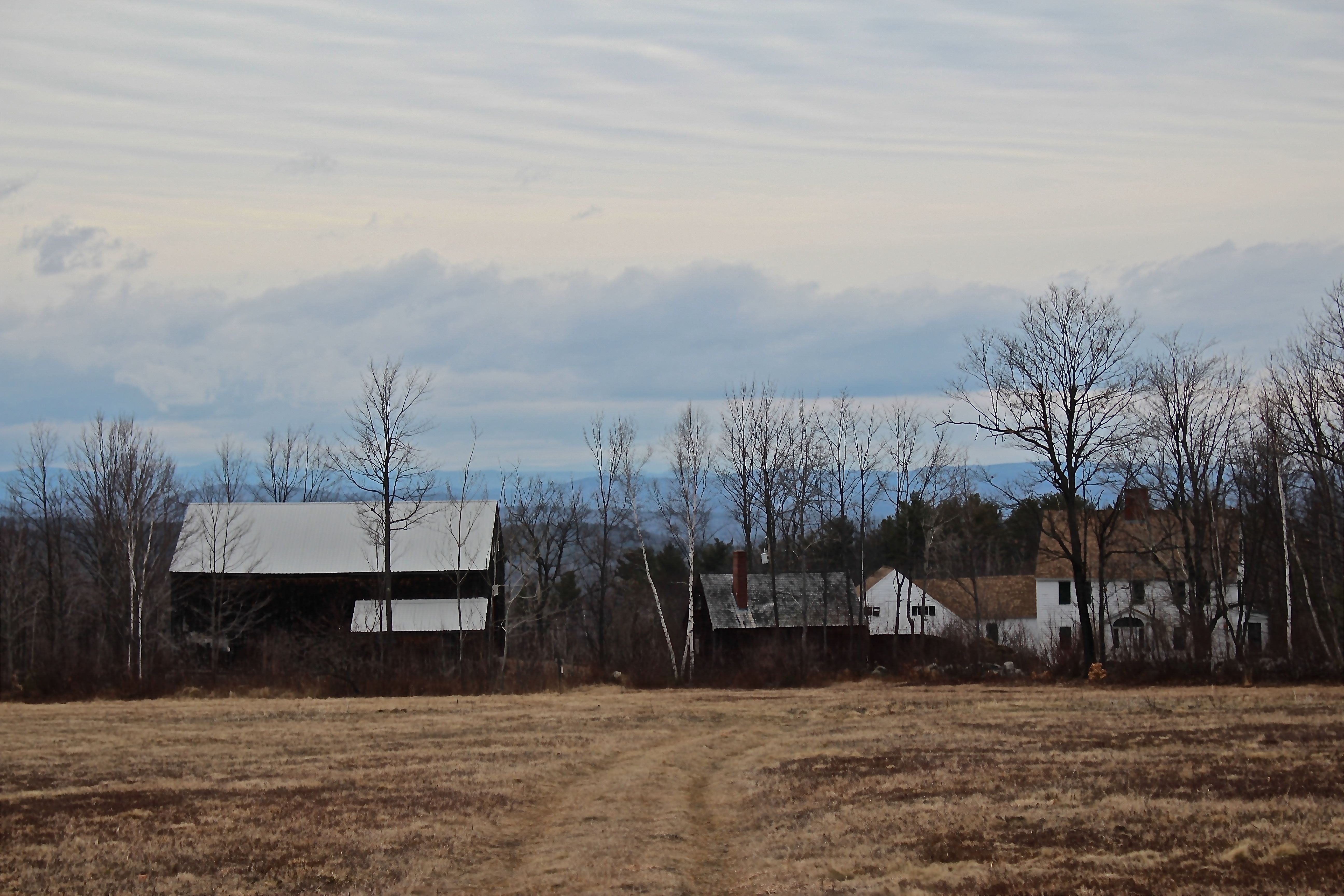 N-farm view from back